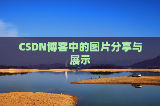 CSDN博客中的图片分享与展示